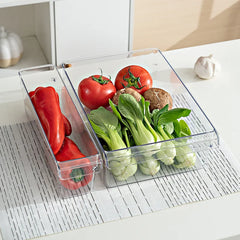 Clear Refrigerator Food Storage Container