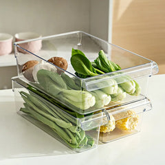 Clear Refrigerator Food Storage Container