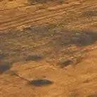 Textured surface of orange-brown earth with subtle dark patches, resembling natural terrain.