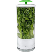 Herb and vegetable crisper with breathable design, keeping greens fresh in a clear container.