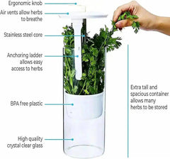 Herb & Vegetable Storage Container | Kitchen | Luvasmr - Satisfyingly Organised