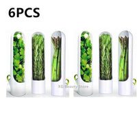 Set of 6 Herb Saver Containers showcasing fresh herbs, designed to extend freshness for culinary enthusiasts.