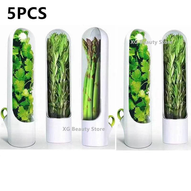 Herb Saver Container Freshness Extender, ideal for preserving fresh herbs and vegetables stylishly.