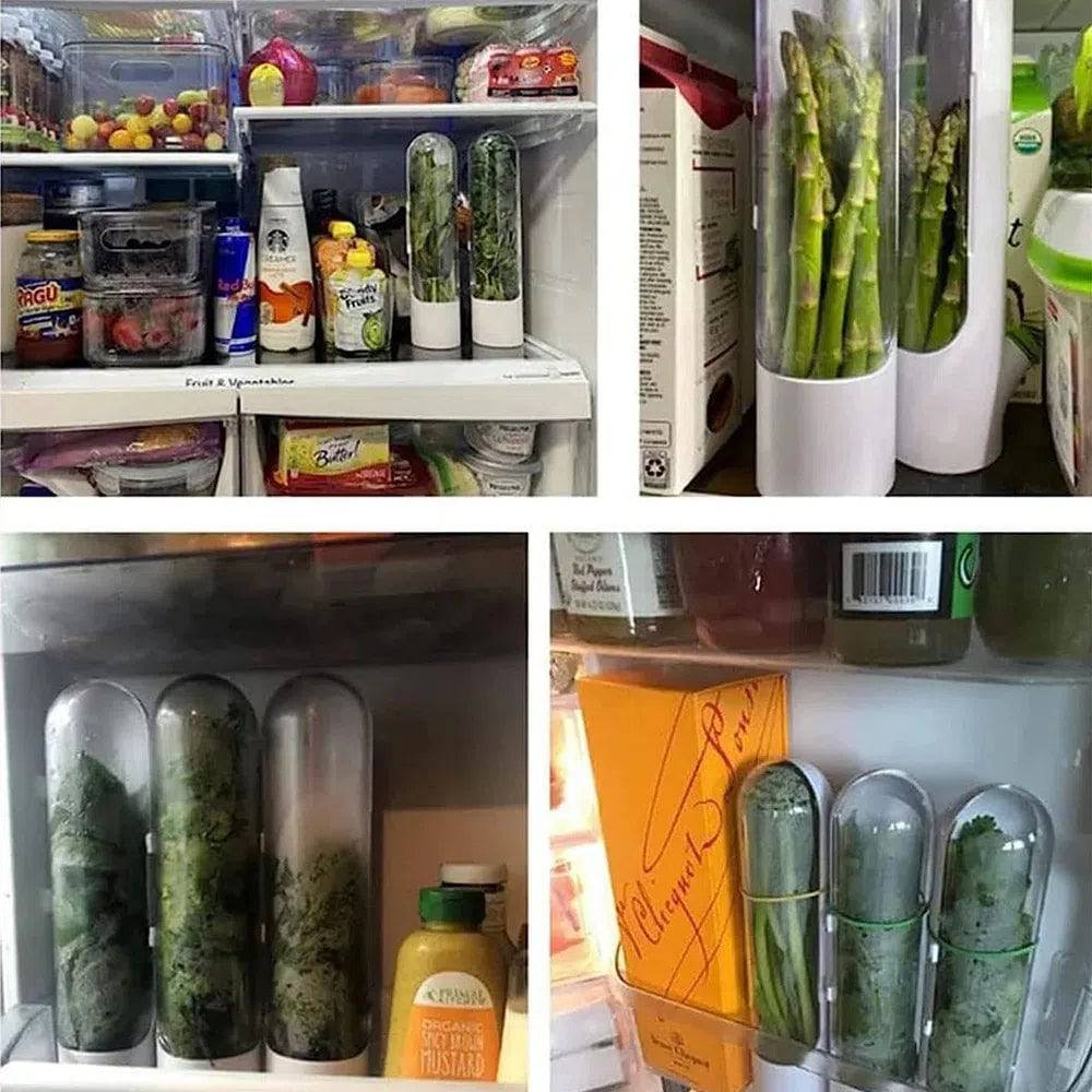 Herb Saver Container Freshness Extender in a refrigerator, keeping herbs and vegetables fresh and aromatic.