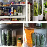 Herb Saver Container Freshness Extender in a refrigerator, keeping herbs and vegetables fresh and aromatic.