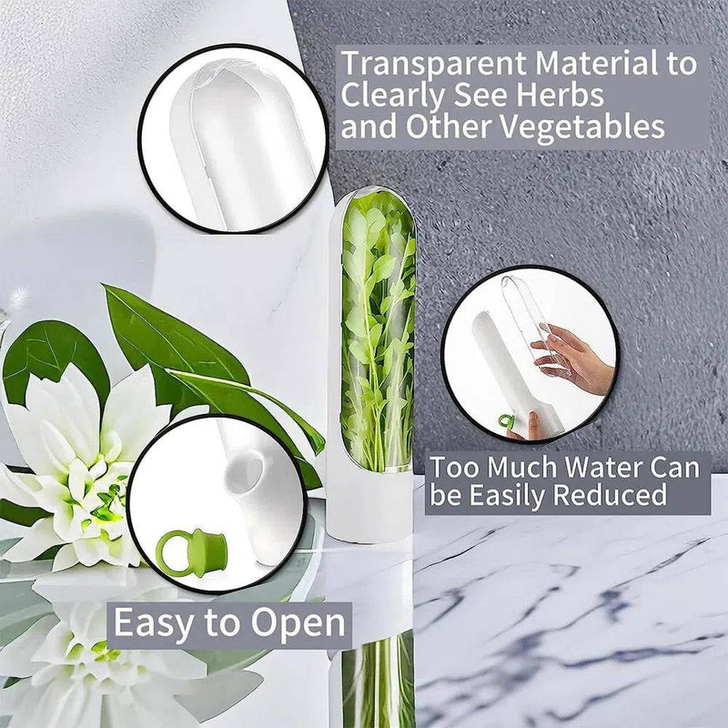 Herb Saver Container with transparent design for easy viewing of herbs and veggies, featuring an easy-open lid.