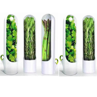 Herb Saver Container Freshness Extender, ideal for preserving herbs like cilantro and asparagus in style.