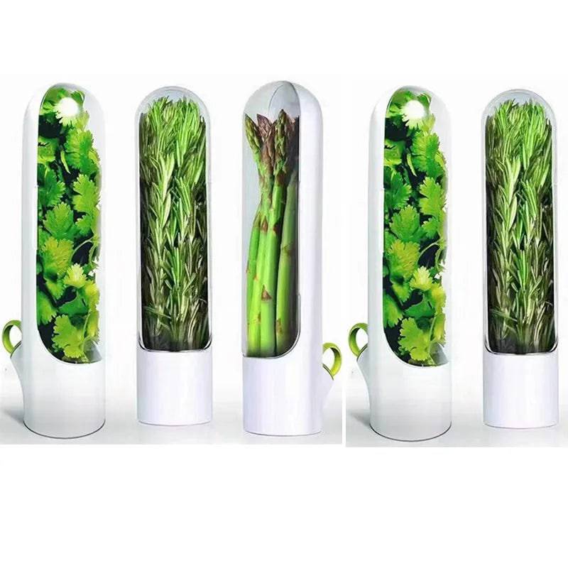 Herb Saver Container Freshness Extender, ideal for preserving herbs like cilantro and asparagus in style.