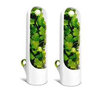 Herb Saver Container Freshness Extender with fresh cilantro inside, designed for preserving herbs in style.