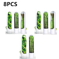 Set of 8 Herb Saver Containers showcasing fresh herbs, designed to extend freshness and flavor in the kitchen.