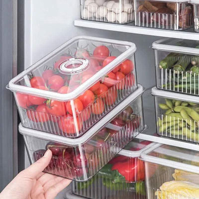Versatile Refrigerator Storage Box with Lid - Luvasmr
