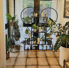6-Tier Wood and Metal Plant Flower Rack | Living Room | Luvasmr - Satisfyingly Organised